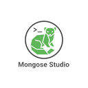 Mongoose Studio